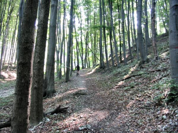 Obrázok